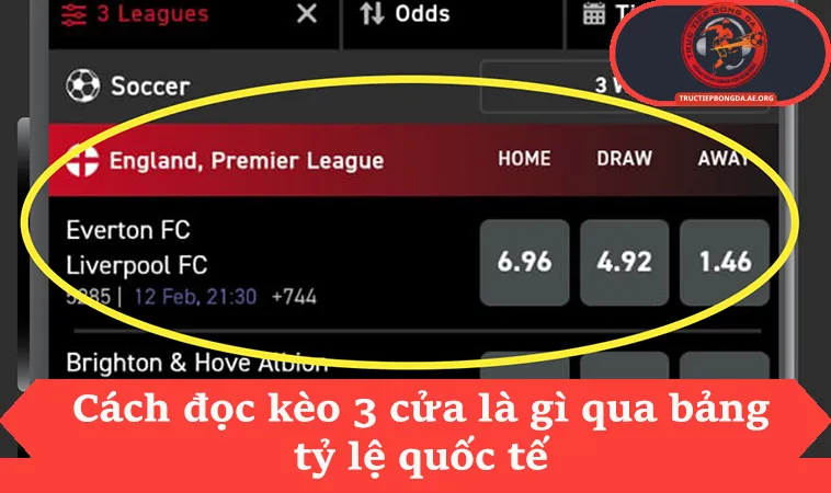 Kèo 3 Cửa Là Gì Và Cách Đọc Bảng Tỷ Lệ Thắng Nhà Cái 2 Cách đọc kèo 3 cửa là gì qua bảng tỷ lệ quốc tế