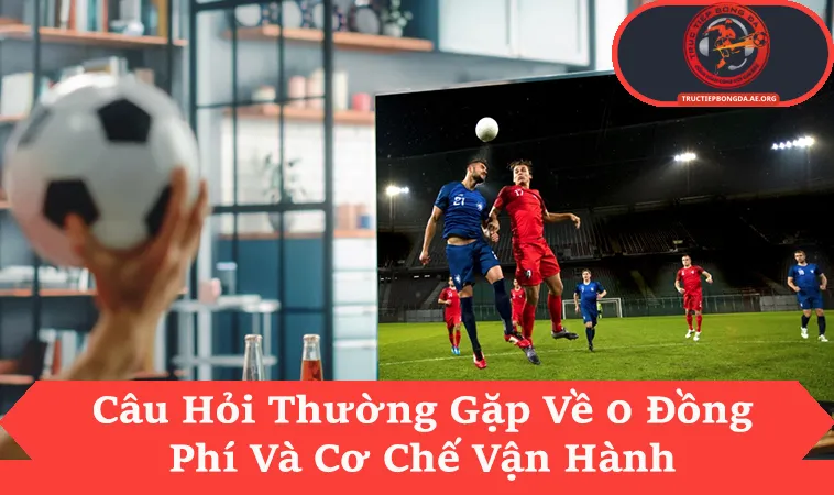 Câu hỏi thường gặp về cách hoạt động xem trực tiếp bóng đá