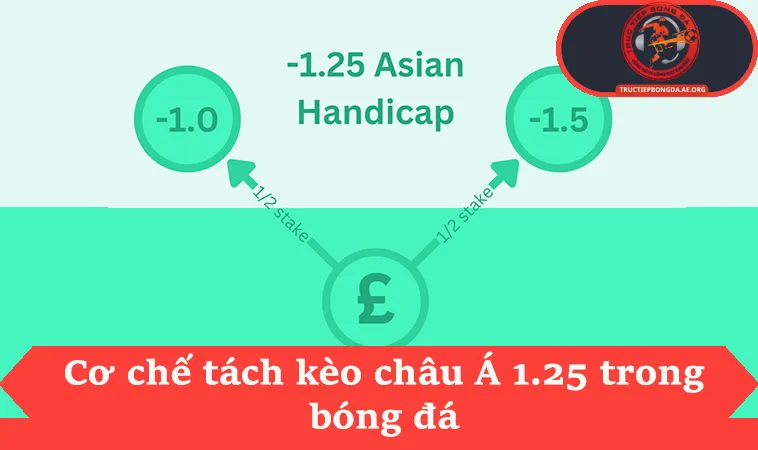 Kèo 1 1/4 Là Gì Với 3 Kịch Bản Tỉ Số Thực Tế 1 Cơ chế tách kèo châu Á 1.25 trong bóng đá