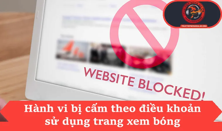 Hành vi bị cấm theo điều khoản sử dụng trang xem bóng