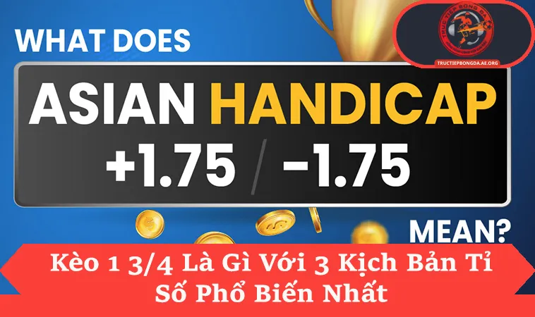 Kèo 1 3/4 Là Gì Và Cách Tính Tiền Thắng Nửa Chi Tiết