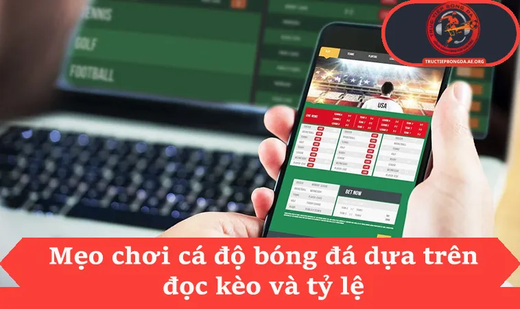 Mẹo chơi cá độ bóng đá dựa trên đọc kèo và tỷ lệ