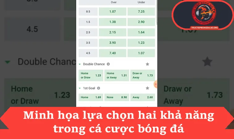 Kèo Cơ Hội Kép Là Gì Và 3 Cách Đọc Ký Hiệu 1X X2 12 1 Minh họa lựa chọn hai khả năng trong cá cược bóng đá