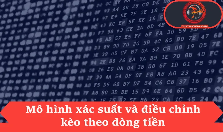 Mô hình xác suất và điều chỉnh kèo theo dòng tiền