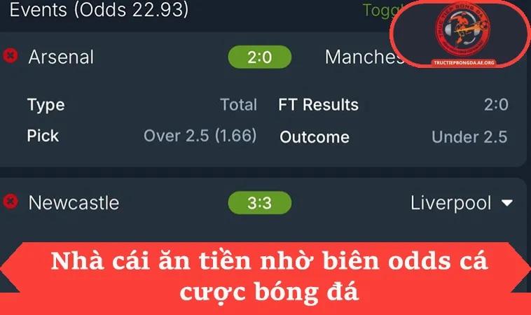 Hướng Dẫn 5 Cách Chiến Thắng Nhà Cái Từ Kinh Nghiệm 1 Nhà cái ăn tiền nhờ biên odds cá cược bóng đá