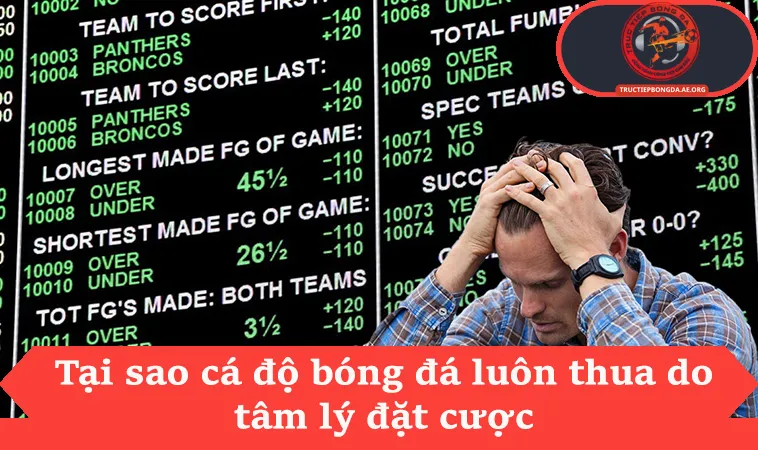 Tại sao cá độ bóng đá luôn thua do tâm lý đặt cược
