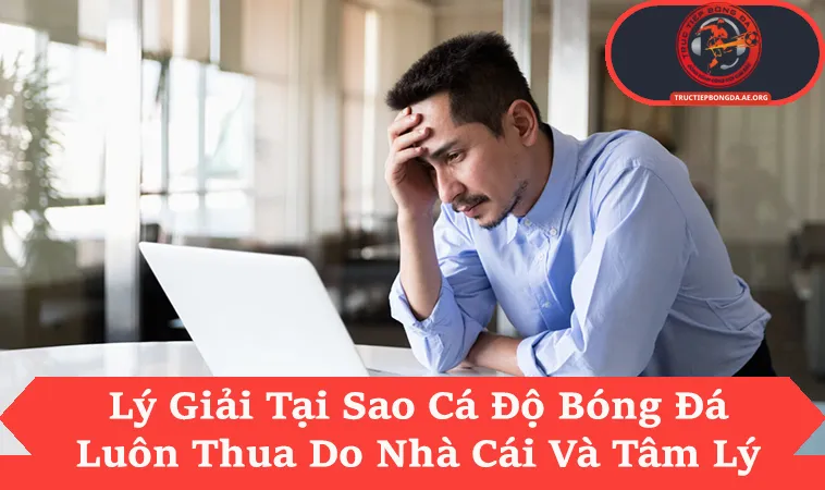 Tại Sao Cá Độ Bóng Đá Luôn Thua Và 3 Nguyên Nhân Chính