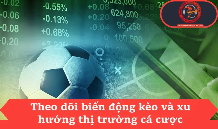 Theo dõi biến động kèo và xu hướng thị trường cá cược